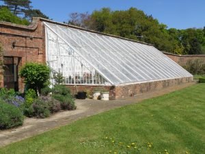 Greenhouse