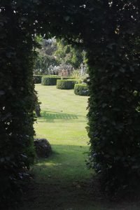 Through the Hedge